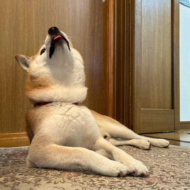 7d167fab 315c 4924 b59d a9e1b9c718b0 1721645767932