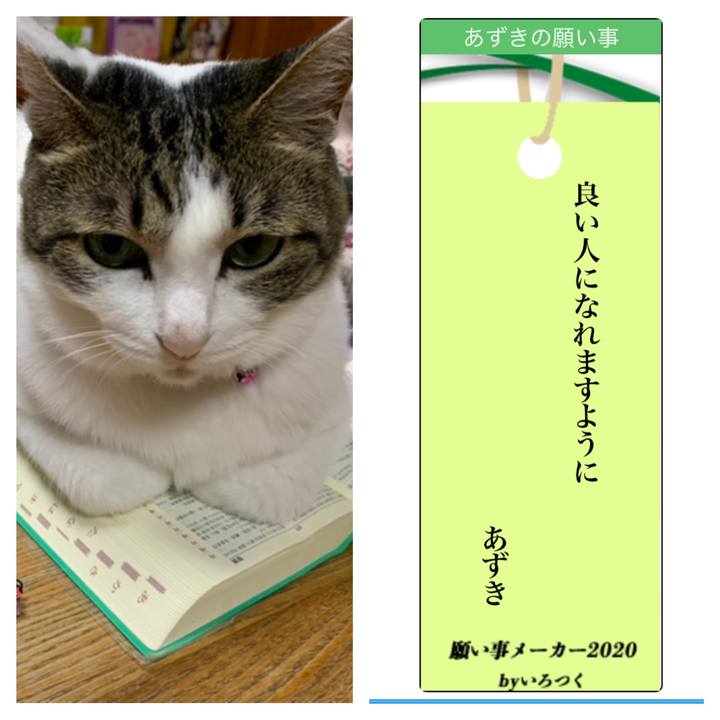 7d1680c1 c7ee 4b03 8955 08408a572bff 1594093076004