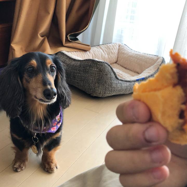 7d16840f 0b1c 4f12 8871 0ae354c3b09a 1554522477760