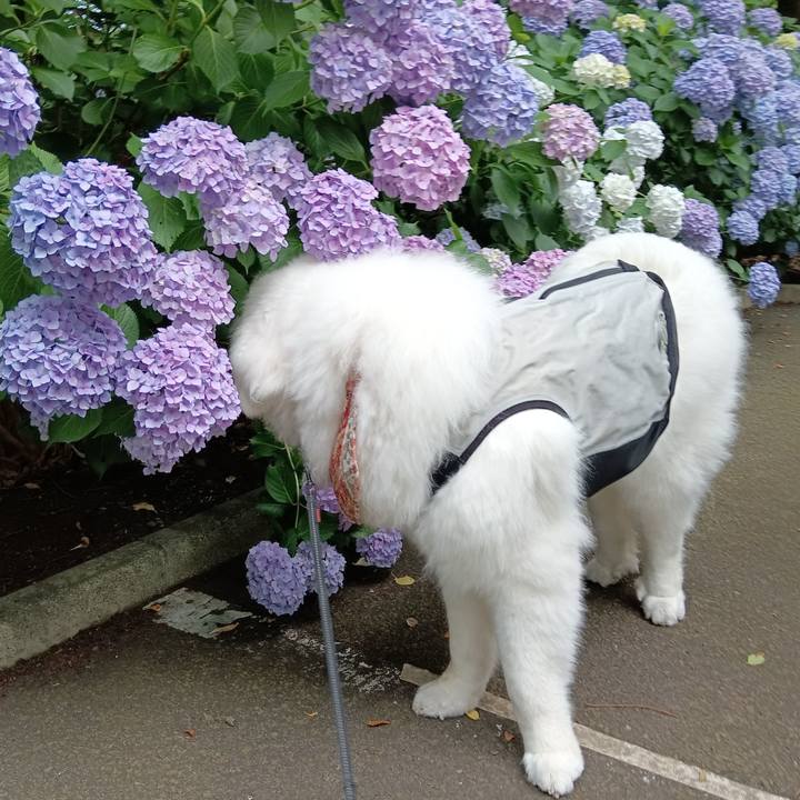 7d168a3c af2d 4938 95d3 b6415a889478 1718333007576