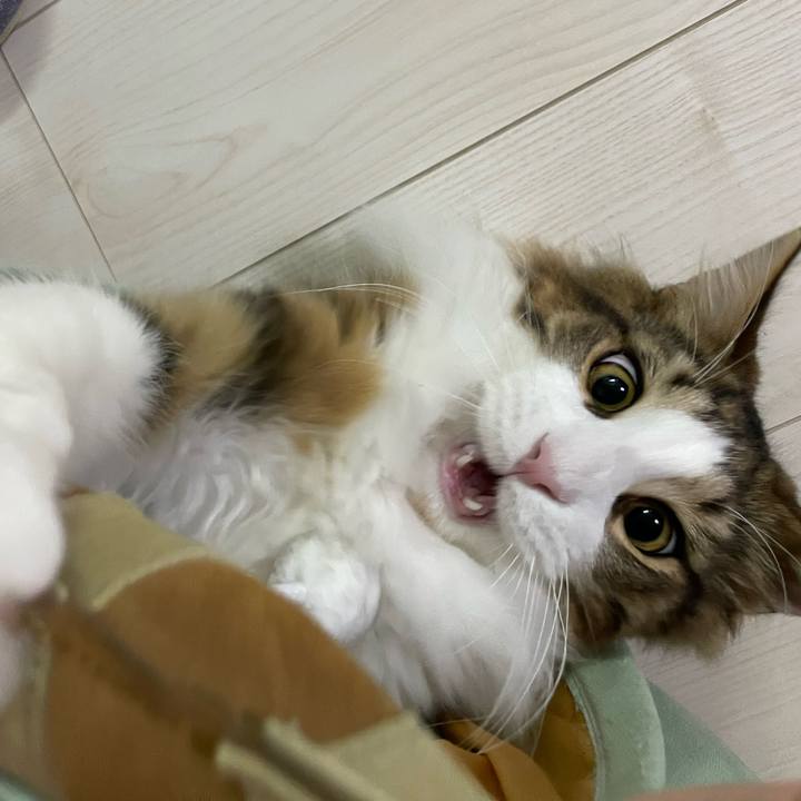 7d16c818 f292 4ca9 ab88 aede5d810da7 1641504581205