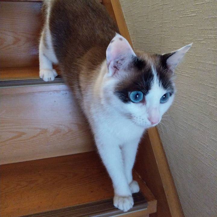 7d16caa7 29eb 4152 9bcf 37ca9a5b503b 1552115355637