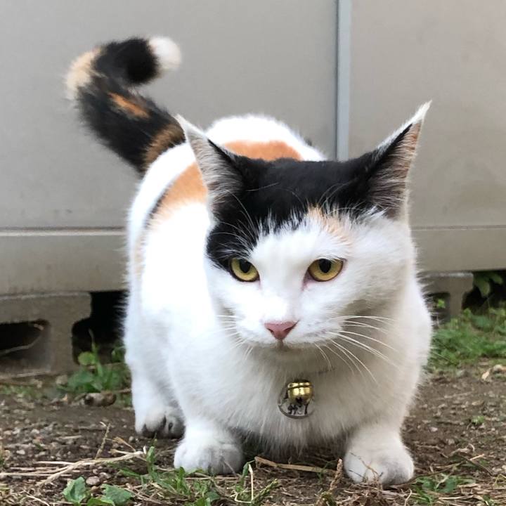 7d16cd6d cb85 4633 8470 e33fb88caf2a 1606042682897