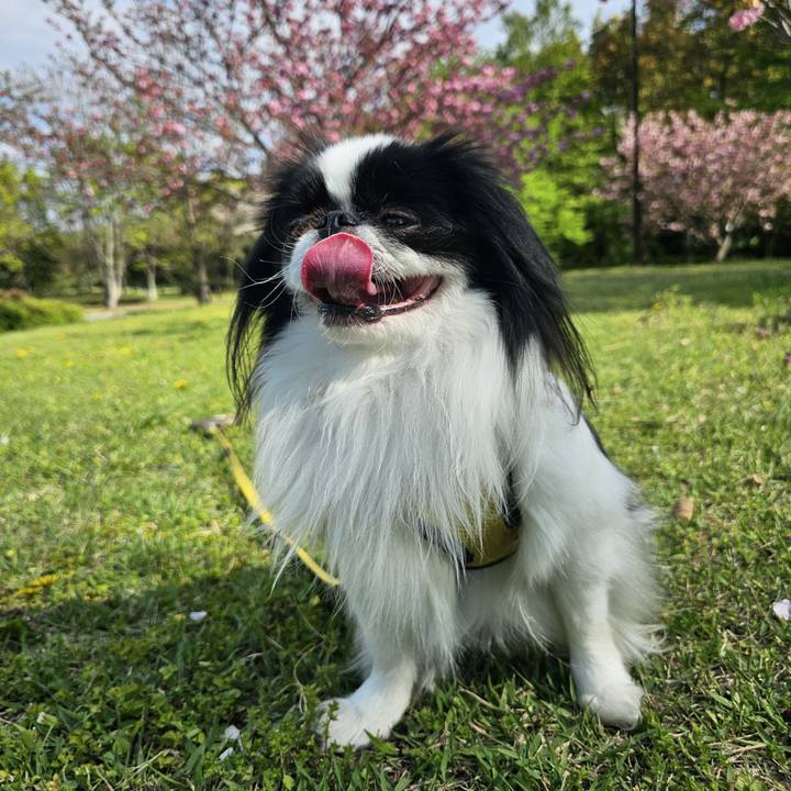 7d16ce29 d7c4 45b3 81cc d722a84f829c 1713266218795