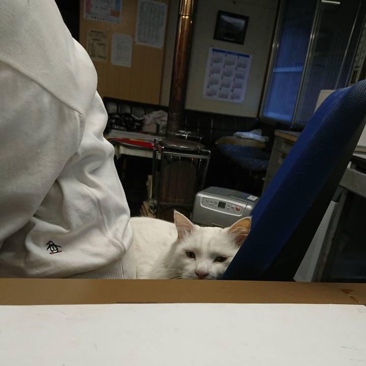 7d16ded5 28f3 48c4 83fe 168532a5bc21 1572906440558