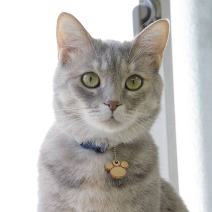 7d16f2ff 2a05 4da9 a1e4 c941124b7d8c 1591069098541