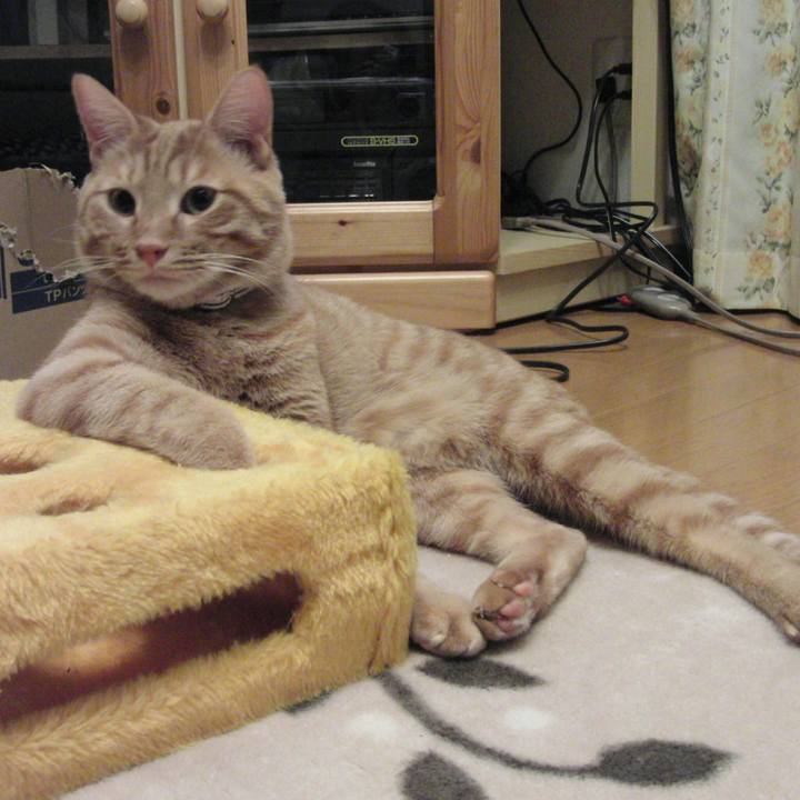 7d16ffdb 290c 4882 a212 6b2c4b14af16 1522418340221