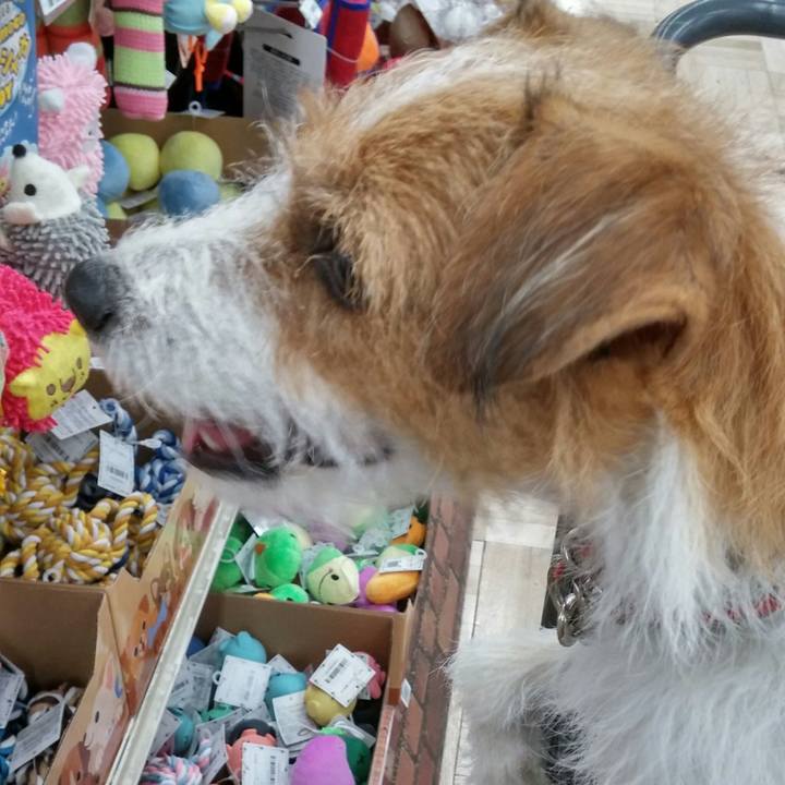 7d171f26 2686 4dea ad9f 624e132b37d1 1538203192153