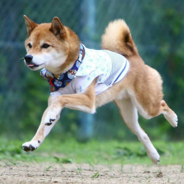 7d172fc1 21a5 4475 8ab9 78c7adbe0062 1562682324308