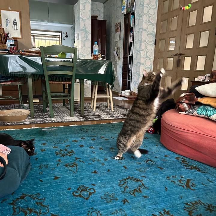 7d177670 5735 4792 90ee 04b09261806c 1734922901501