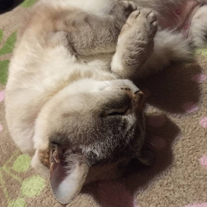 7d1791a6 b6ea 437e bf56 1ae0a32dbedd 1518263005457