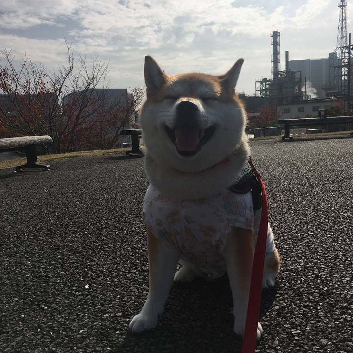 7d179395 f26d 4783 8f56 840b8447a96b 1574656767251