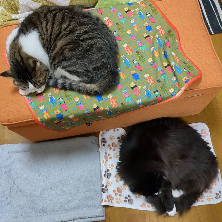 7d17a7f9 6f8f 4f2c b6ff b989e52027c4 1685697968560