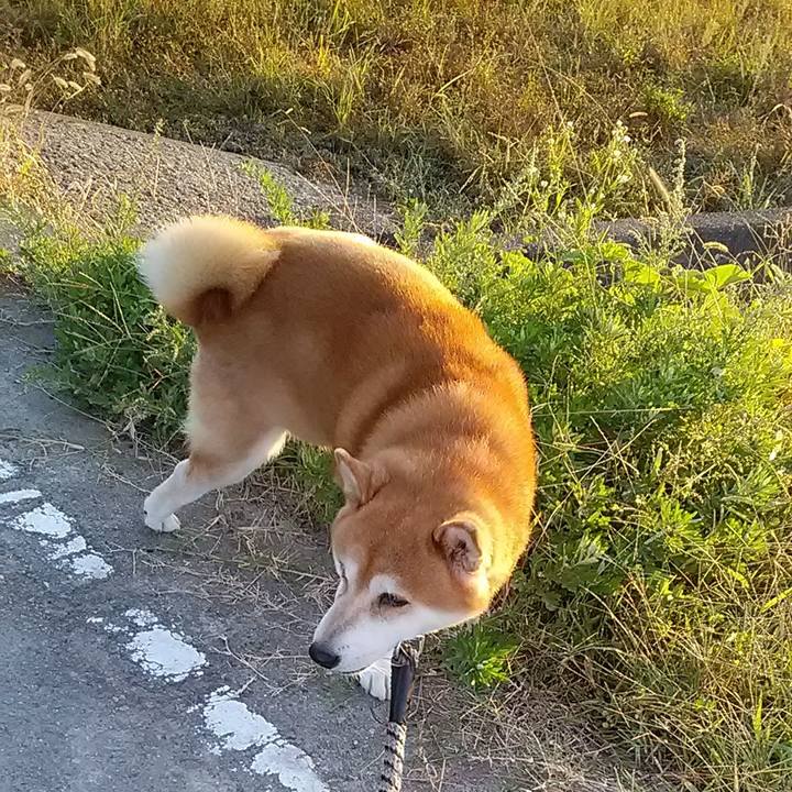 7d183330 549c 409f b265 12e58a8d6436 1697768033247