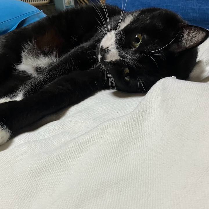 7d1871c0 9bdf 46bf 9214 c3de679ff4cd 1729058516260