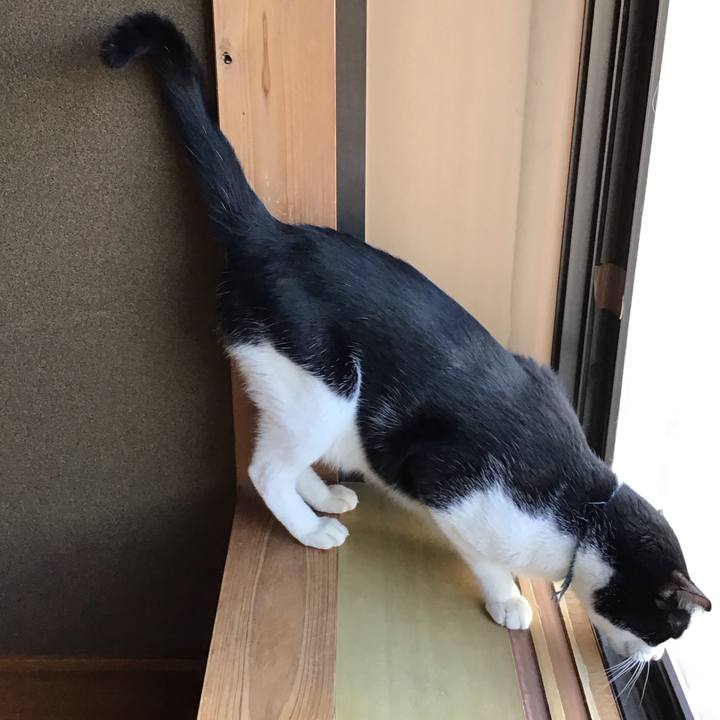 7d18a736 5008 4119 a916 f53a5524fabc 1757320895470