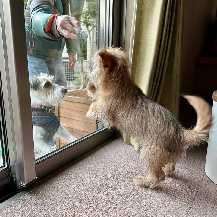 7d18aa73 33e0 4666 8d39 49e5500b98d2 1704464110661