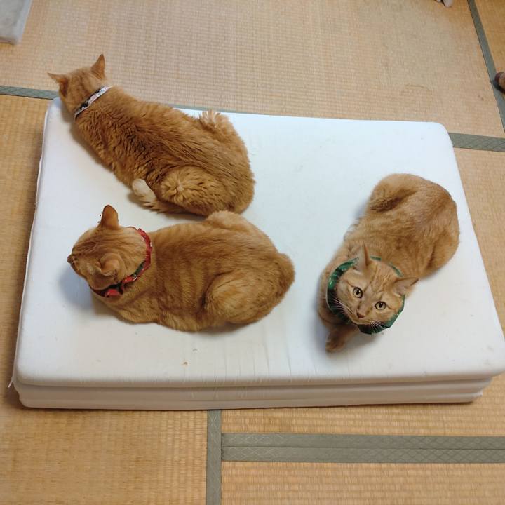 7d18c995 ad72 47b0 bbb0 be35efb2d1ba 1660525543236