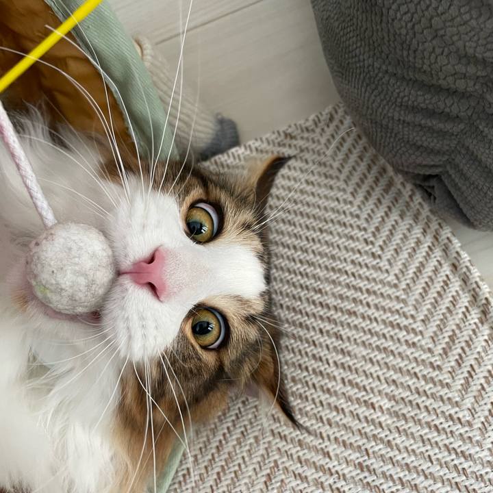 7d18d3c3 cc73 4e2c a907 a60ae37ce720 1645229701226