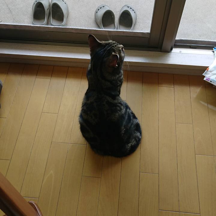 7d18de79 18c9 4219 970f 63df1771e453 1590720736773