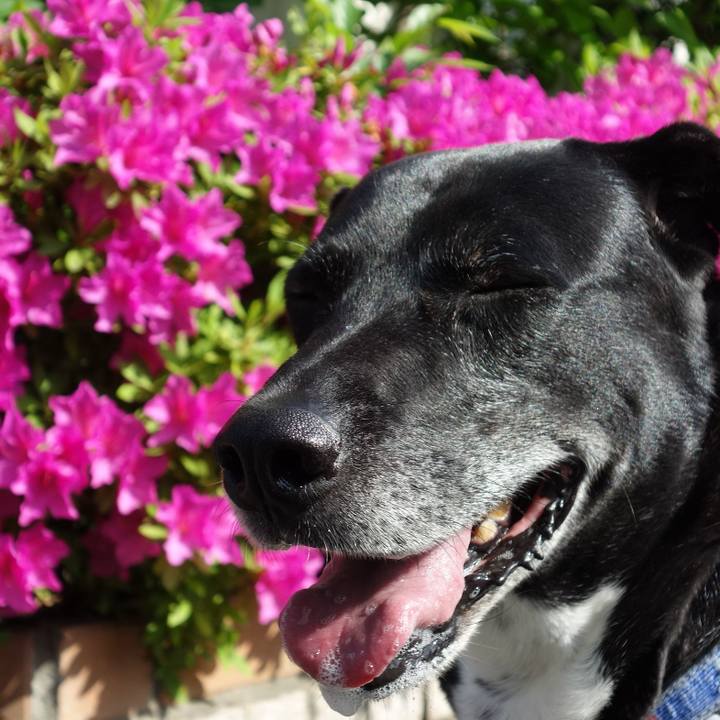 7d18e1b8 f9e1 4081 8c2f 6d30be58fa4c 1714094548485