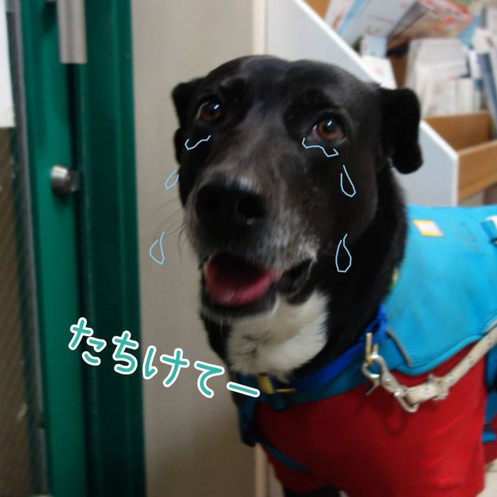 7d194998 2b23 4bf3 9fce 740f6b5bb032 1676977373626