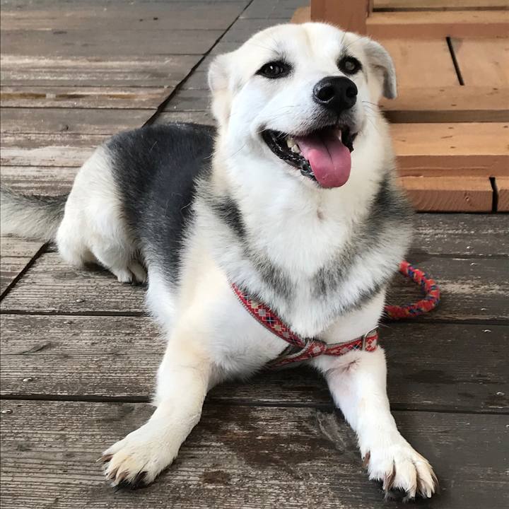 7d1952e9 72f5 408b ac73 1135ea1dc048 1538635809397