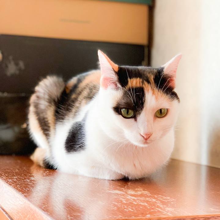 7d195347 30c9 40bd 8fd9 415ff4d92093 1570588705382