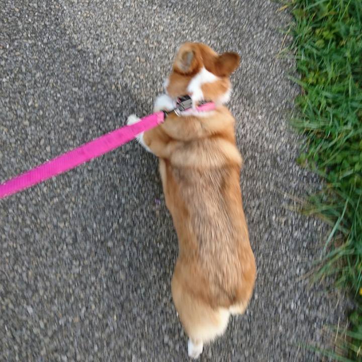 7d197ac6 0e96 4342 ae6e 6c976140dbfc 1543359076446