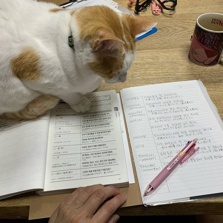 7d198802 cc4e 4e20 8b21 38a4c051c446 1584708395337