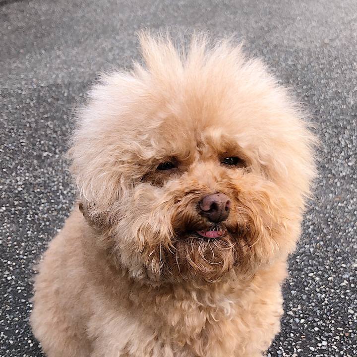 7d198b95 0deb 476c 99a8 35597ed80a18 1551781660700