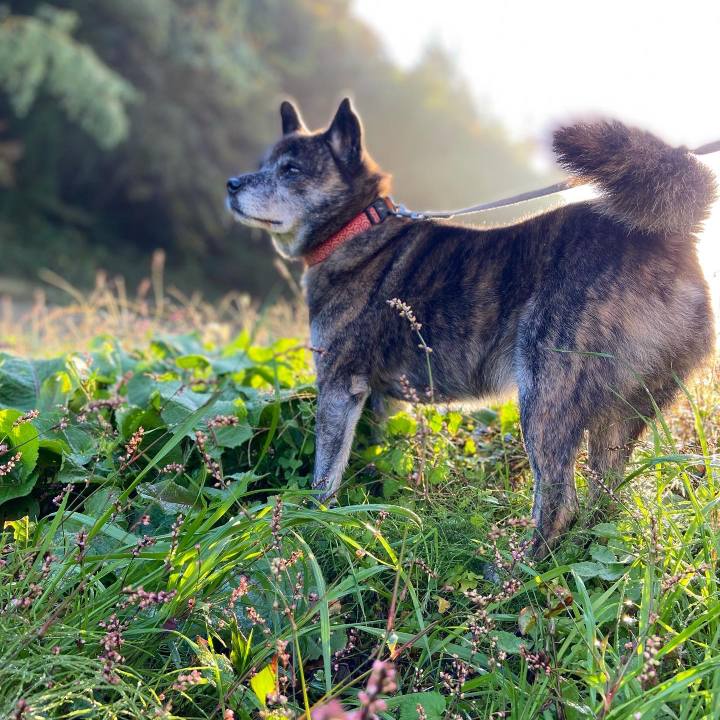 7d198c29 5a9f 46f2 83aa 62004e028768 1635982187492