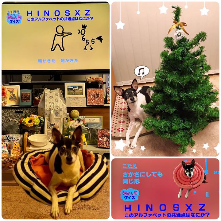 7d199a1c 83c6 4785 9546 e7d83207552b 1669759446834