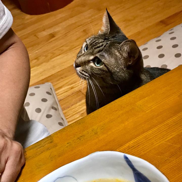 7d1a03ff b3cb 4626 8d64 182791ae095a 1533556507522