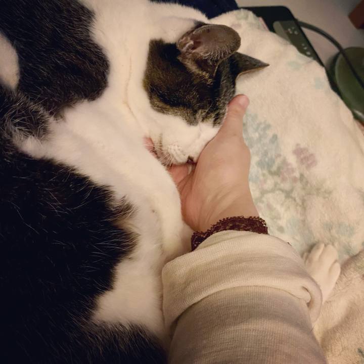 7d1a06f1 db42 4345 b113 1e6450dd0b55 1611752376262