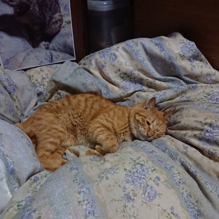 7d1a5f27 b5b2 4237 adb3 3d120933c536 1661603799672