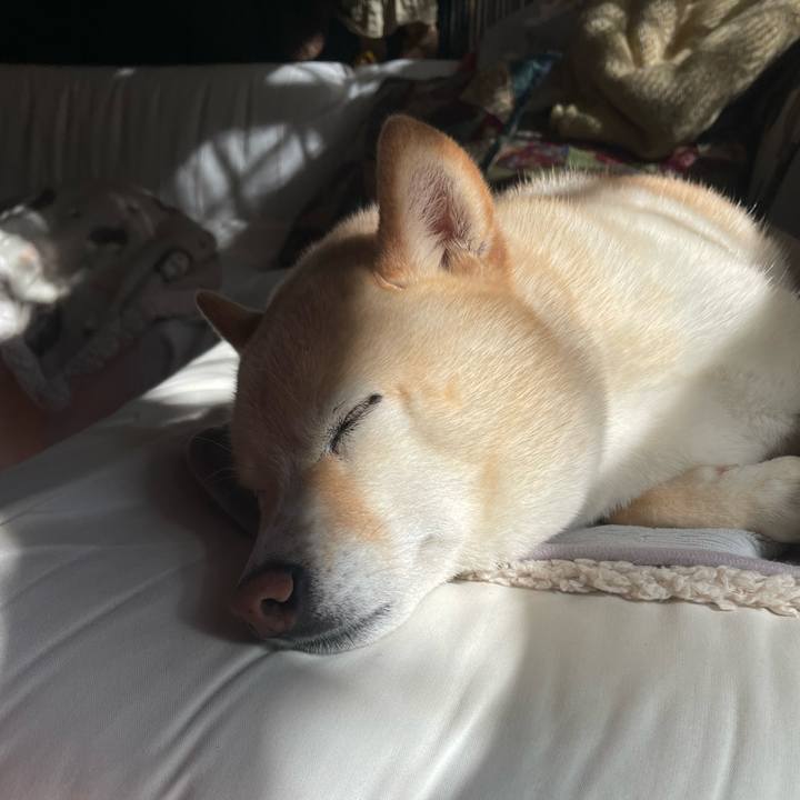 7d1a66be 0cd8 429e a51b 887537e569f1 1738983798474