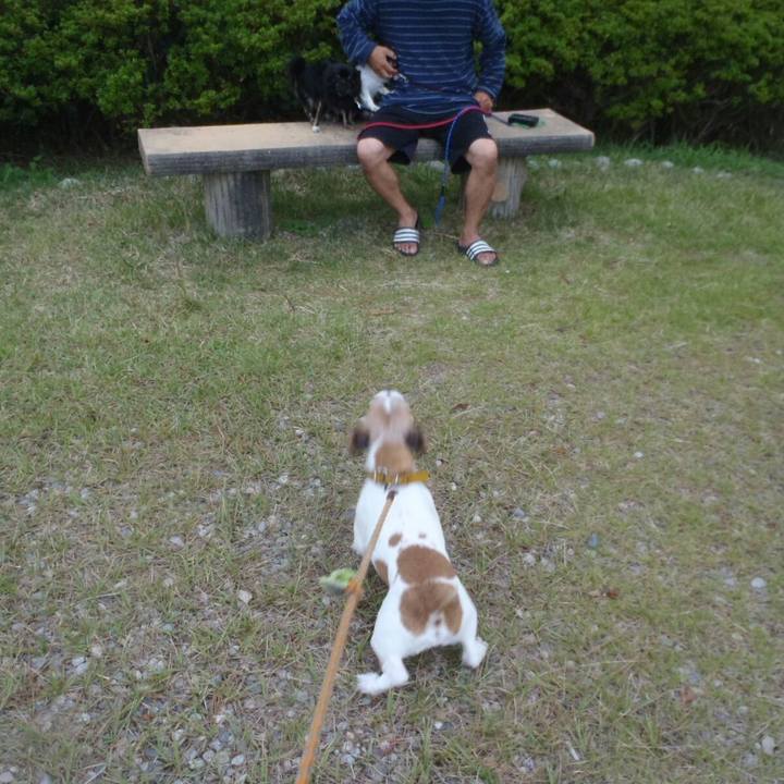 7d1a6f39 b726 4ae3 bdba 37ceb31beb63 1507802029500