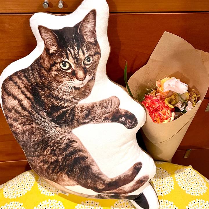 7d1a79d1 a803 433d 875e 83228b72705f 1774218534145