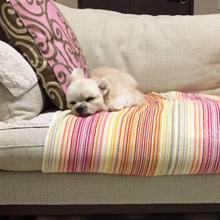 7d1a7c9e b592 4d7f bcc5 5377a9e1ed63 1553162374938