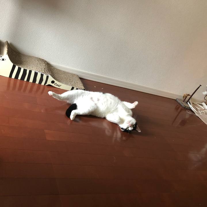 7d1a86d6 f647 4bc3 8ecc 53772545aec5 1527659005485