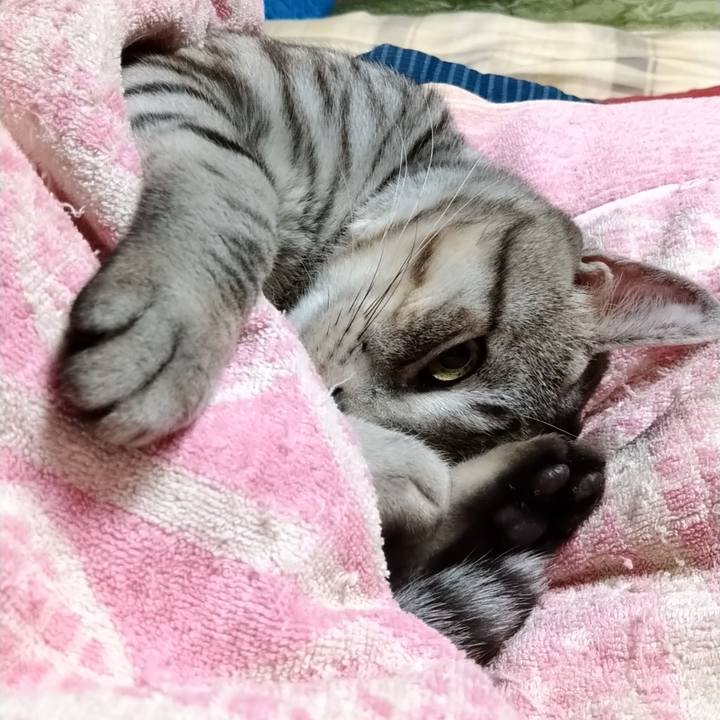 7d1aa515 0d82 4728 a43e 774d510d21d6 1641988442053