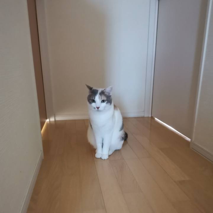 7d1aa72b 9df7 4315 a956 ff28e792868c 1651204784714