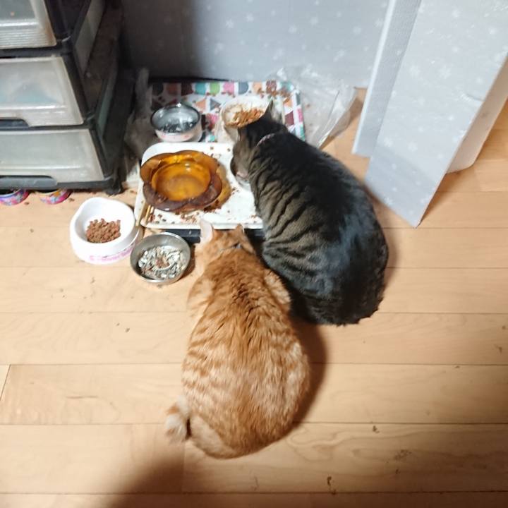 7d1abe86 ddce 4469 826a 933219f79182 1641549362275