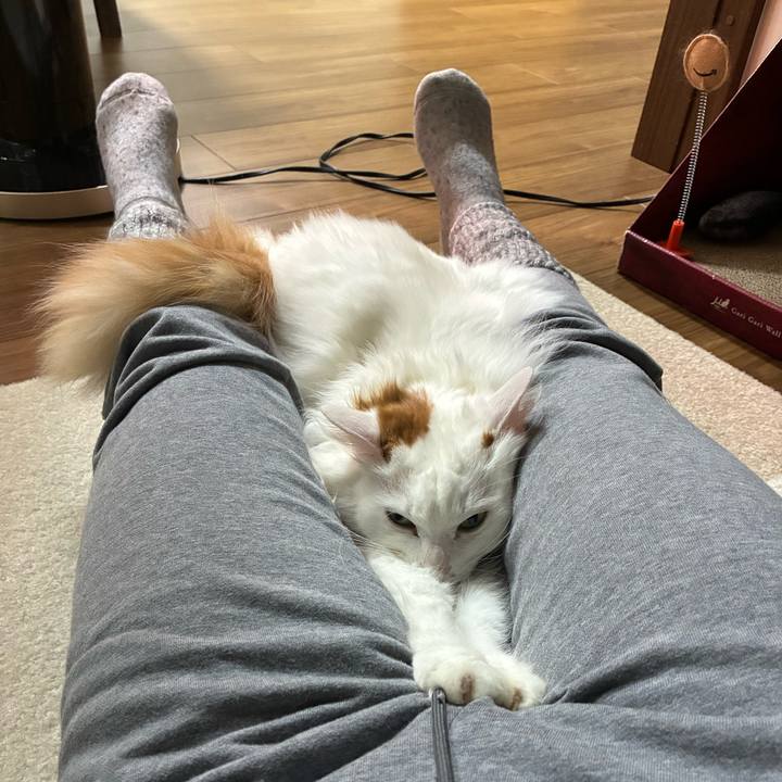 7d1ad070 a875 4cef 9072 8aa23cb45c54 1769522654884