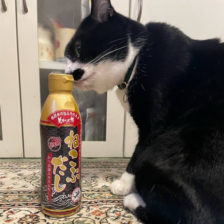 7d1ada59 aedf 4978 a302 0dfa61095d68 1723116888489