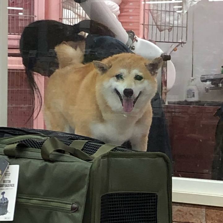 7d1afaf8 79fc 486e 82c9 7ef319975236 1566098070358