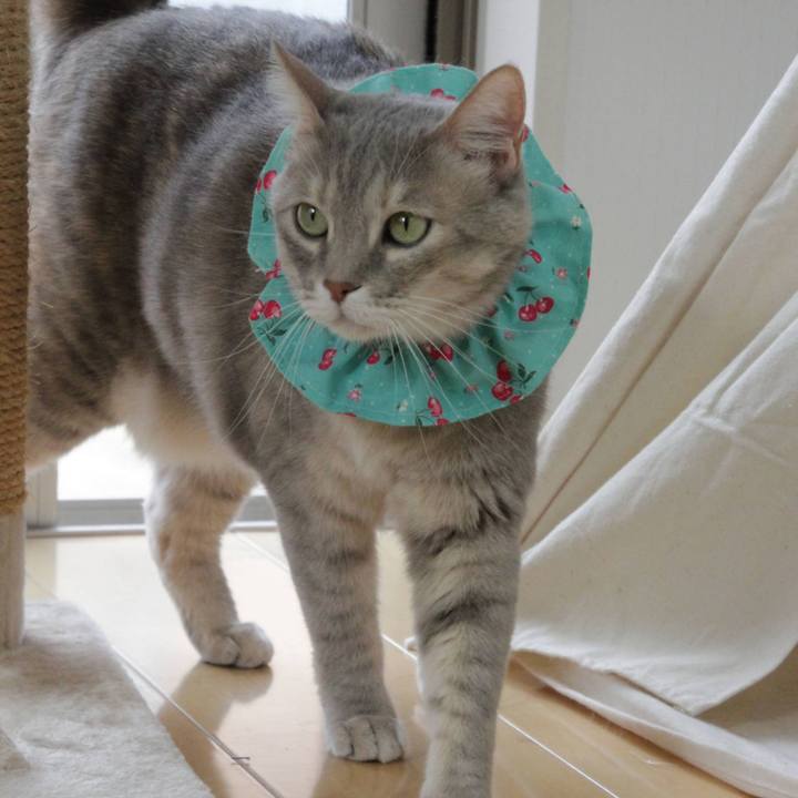 7d1b176b 0f6a 4367 a5cb 9c56a38d29b1 1678334868428