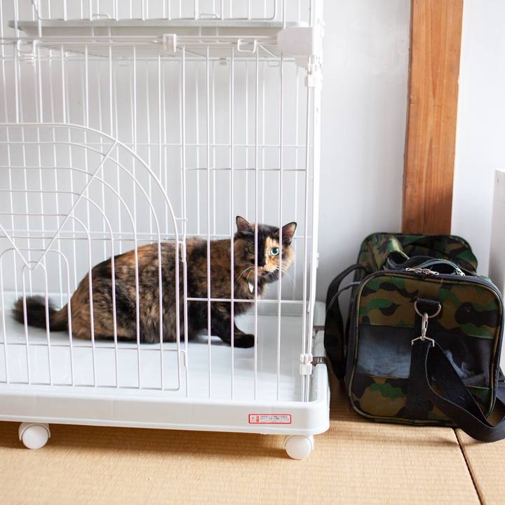 7d1b1de9 423b 4740 ab01 8f71f1f0dd33 1572767699445