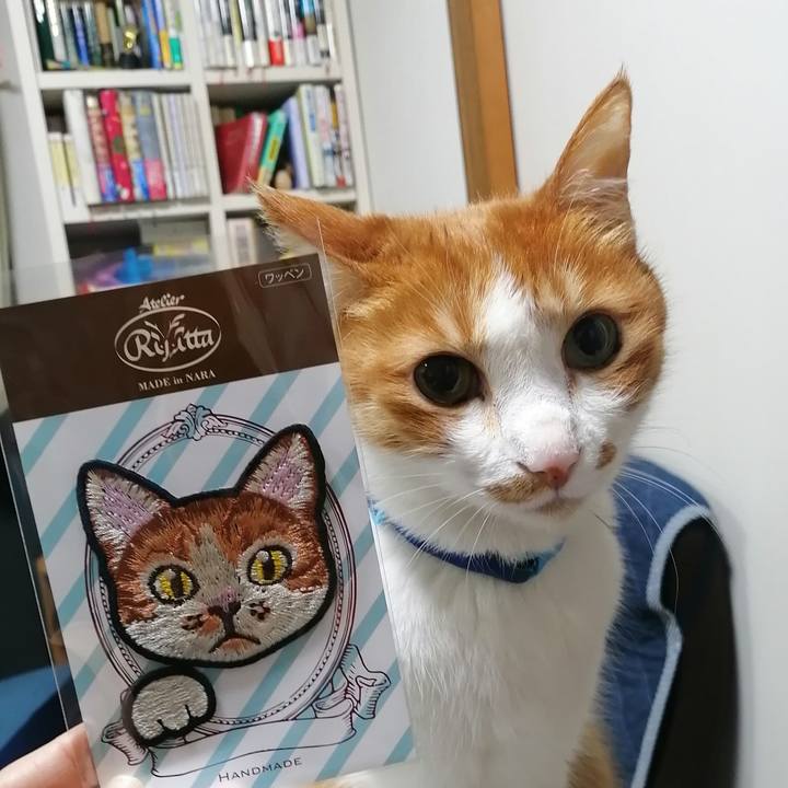 7d1b1dfa 5a76 421f b026 07183d16722a 1622720992057